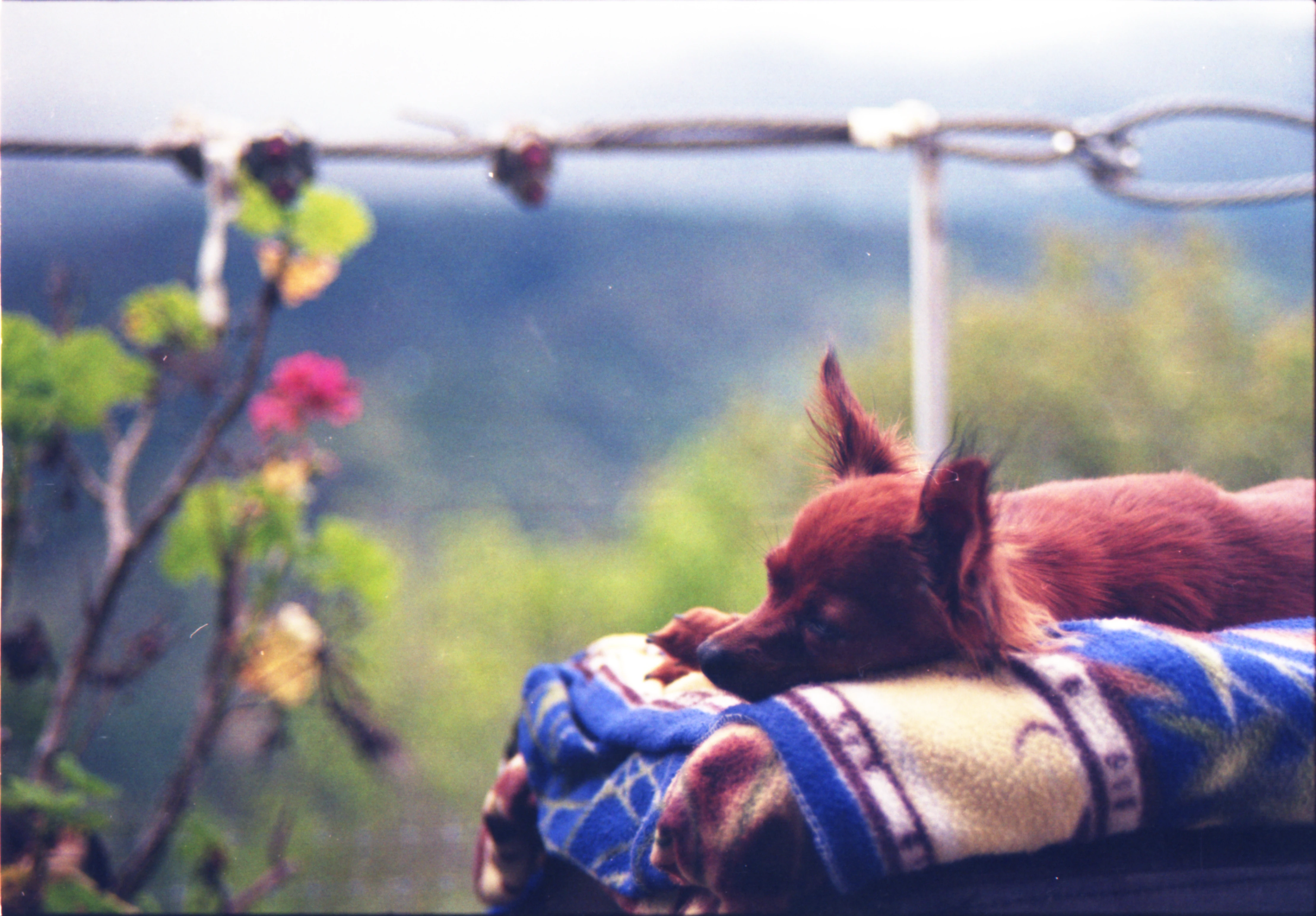 Thinking of a nap around here 