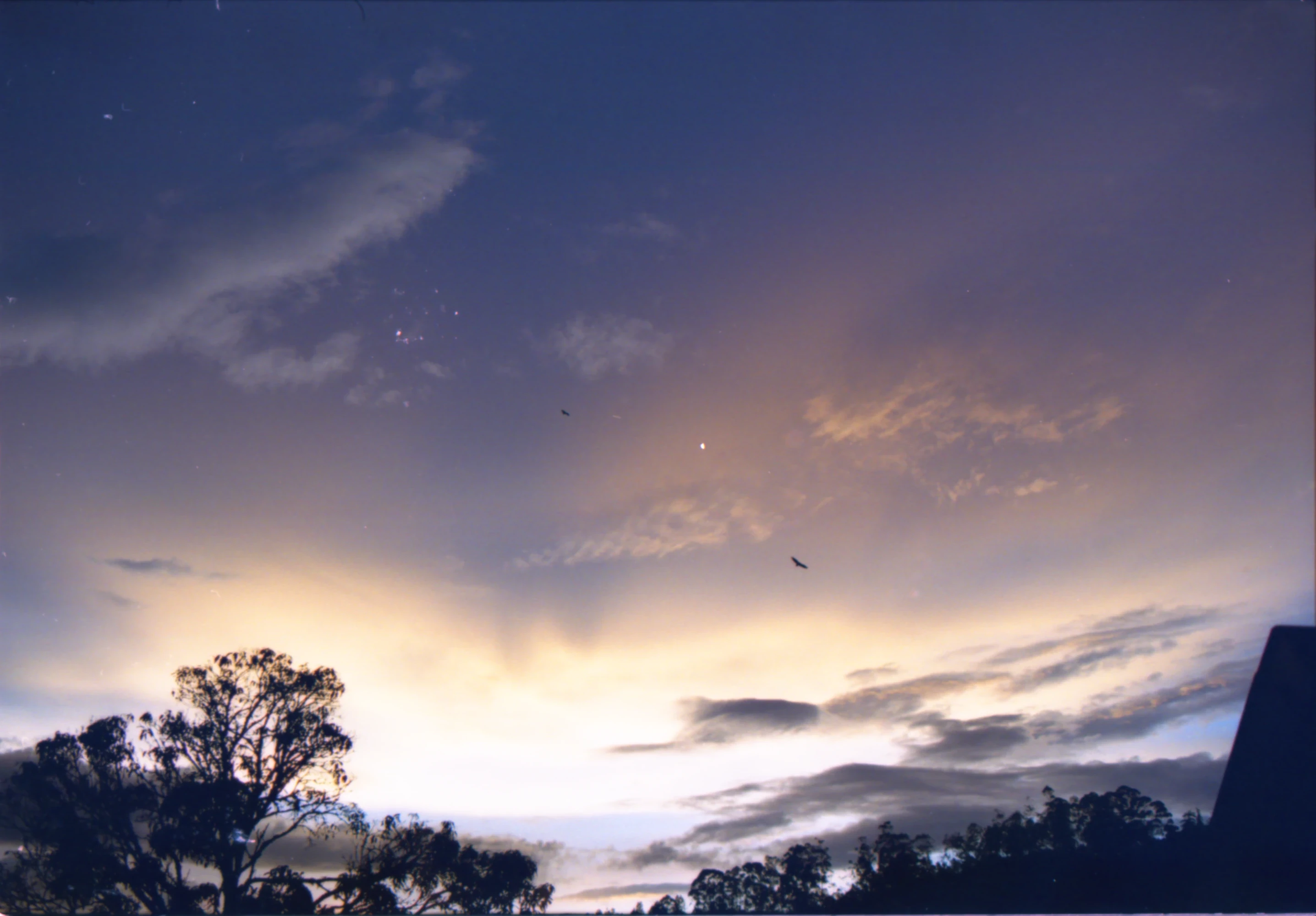 Mr. Boreal Sun